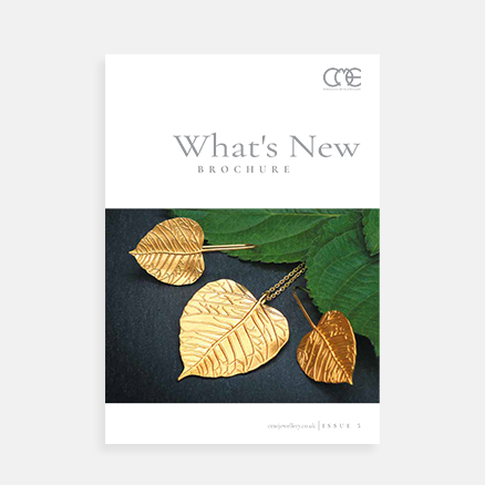 What's New Issue 5