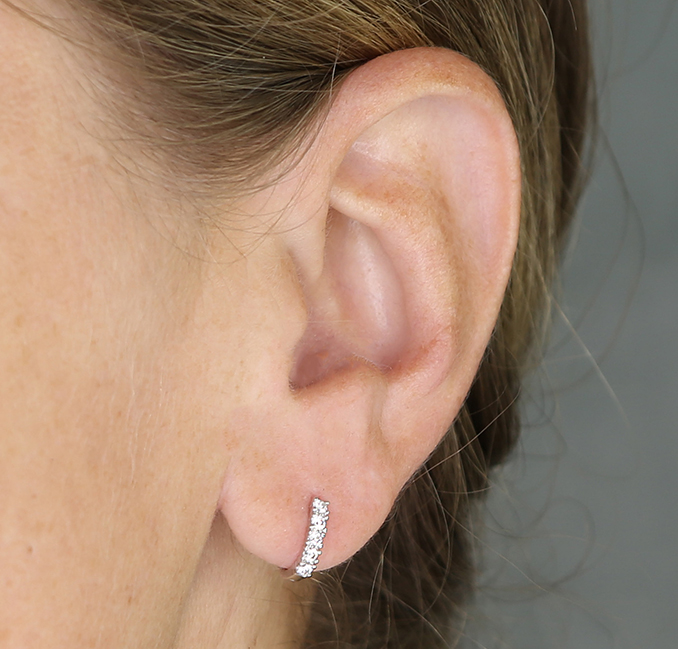 Sterling Silver Earring