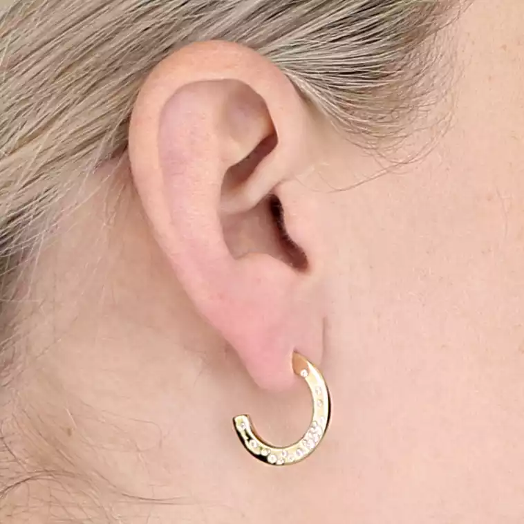 Sterling Silver Earring