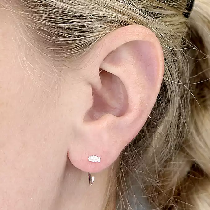 Sterling Silver Earring