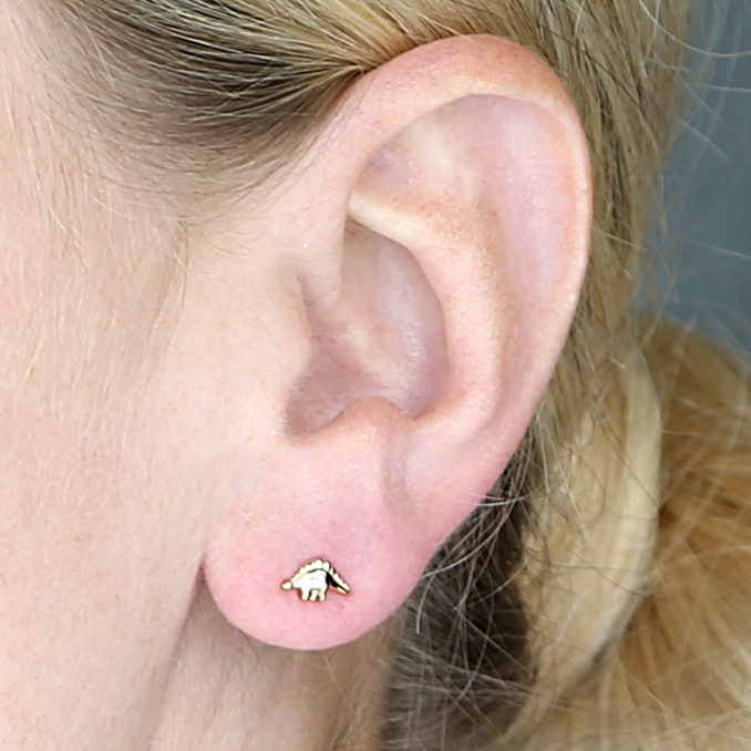 Sterling Silver Earring
