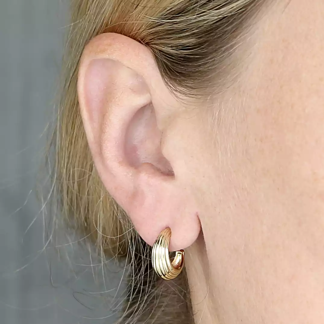 Sterling Silver Earring