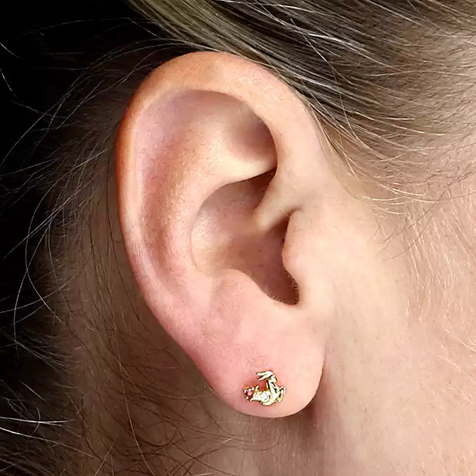 Sterling Silver Earring