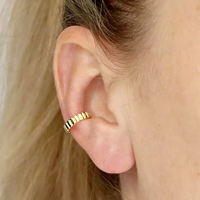 Sterling Silver Earring