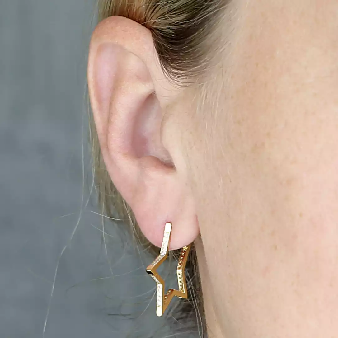 Sterling Silver Earring