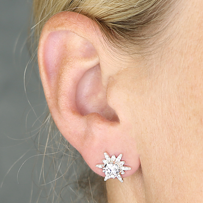 Sterling Silver Earring