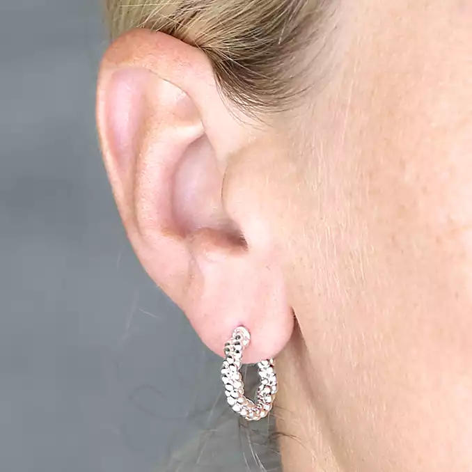 Sterling Silver Earring