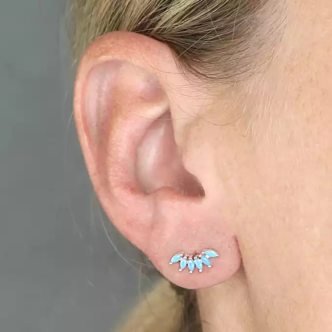 Sterling Silver Earring