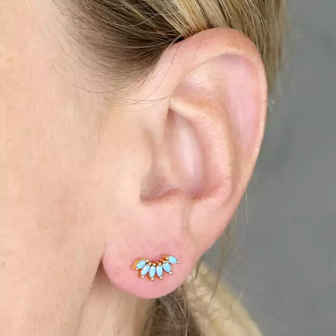 Sterling Silver Earring