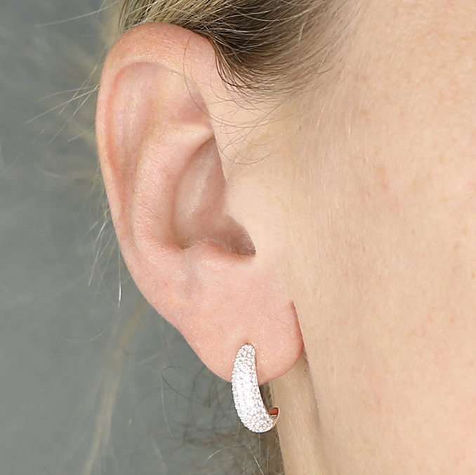Sterling Silver Earring