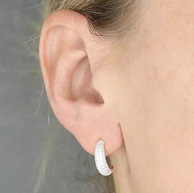 Sterling Silver Earring