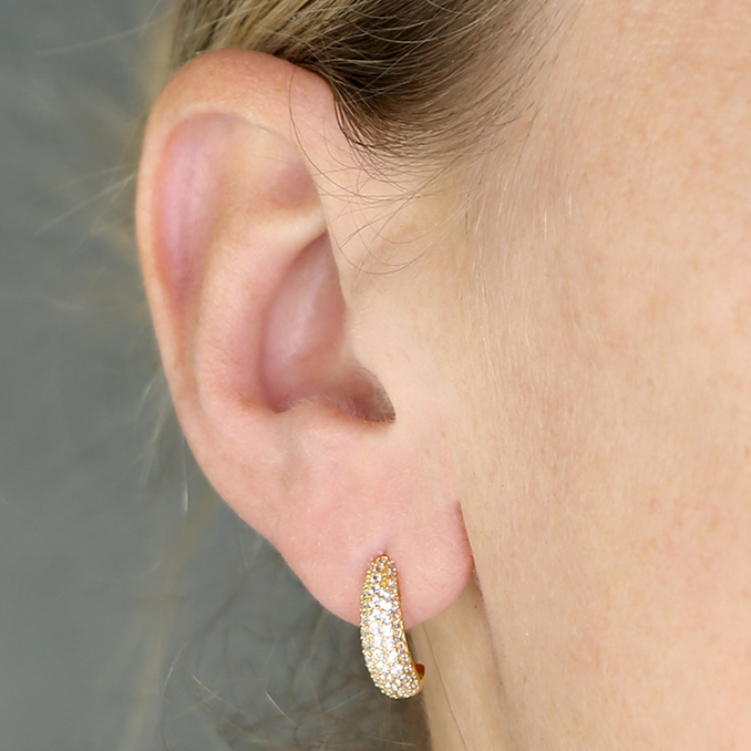 Sterling Silver Earring