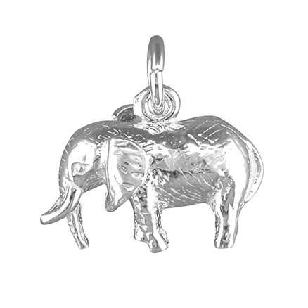 Sterling Silver Charm