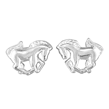 Sterling Silver Earring