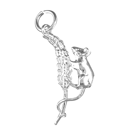 Sterling Silver Charm