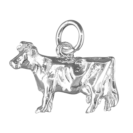 Sterling Silver Charm