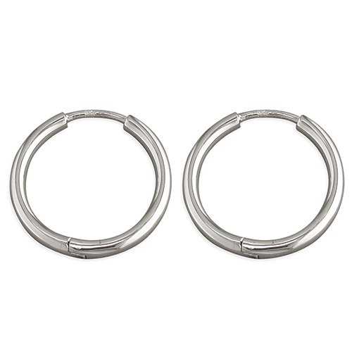 Sterling Silver Earring