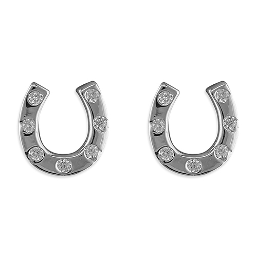 Sterling Silver Earring