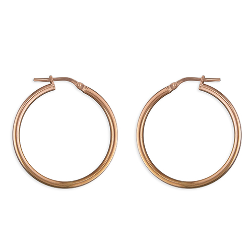 Sterling Silver Earring