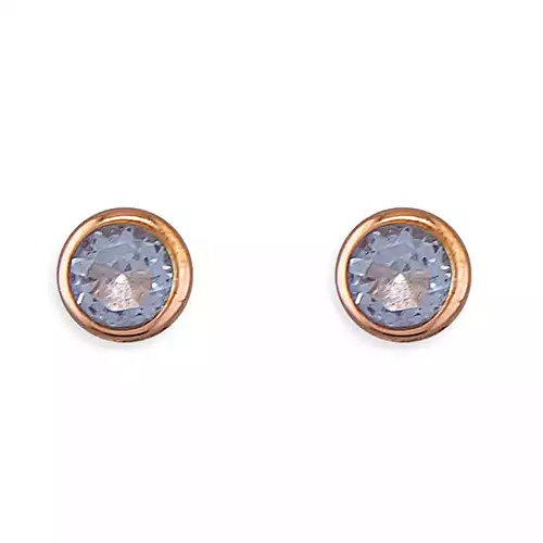 Sterling Silver Earring
