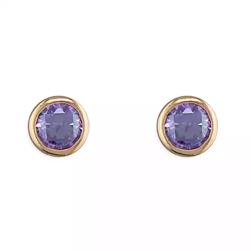 Sterling Silver Earring