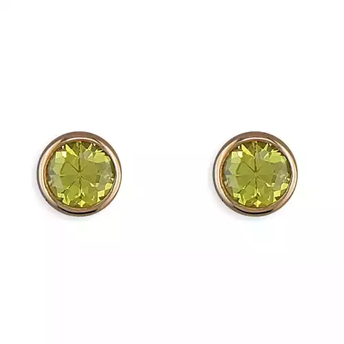 Sterling Silver Earring