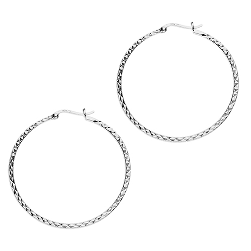 Sterling Silver Earring