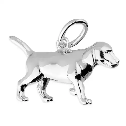 Sterling Silver Pendant
