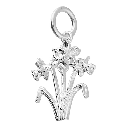 Sterling Silver Charm