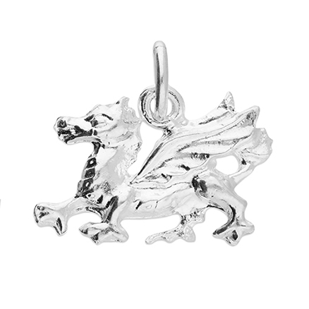 Sterling Silver Charm