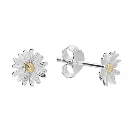 Sterling Silver Earring