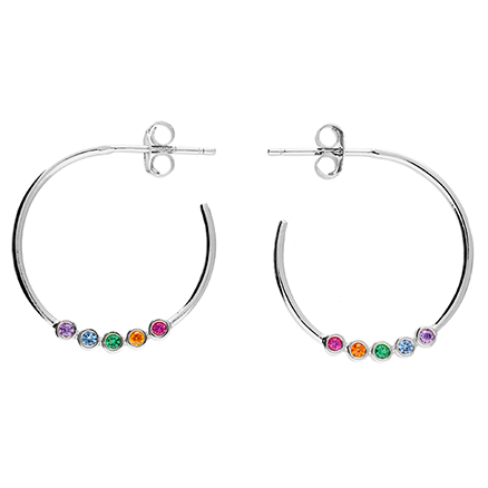 Sterling Silver Earring