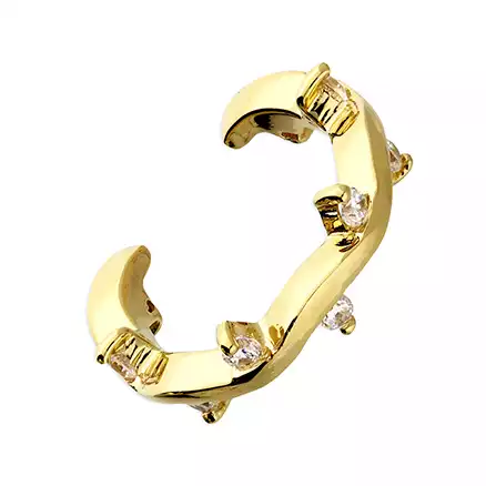 Sterling Silver Earring