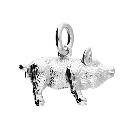 Sterling Silver Pendant