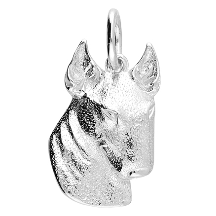 Sterling Silver Pendant