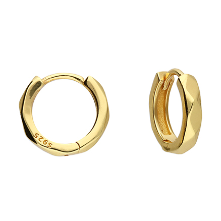 Sterling Silver Earring