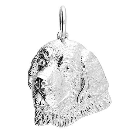Sterling Silver Pendant