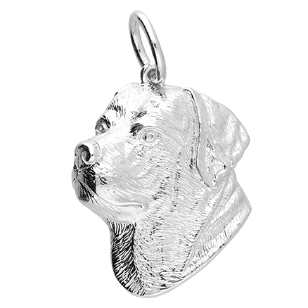 Sterling Silver Pendant