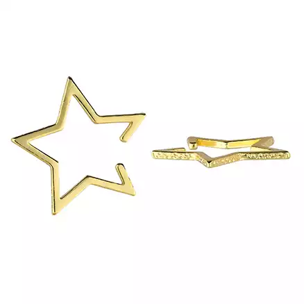 Sterling Silver Earring