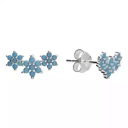 Sterling Silver Earring