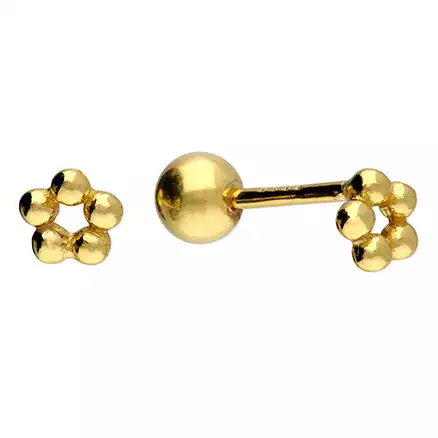 Sterling Silver Earring