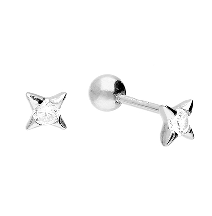 Sterling Silver Earring