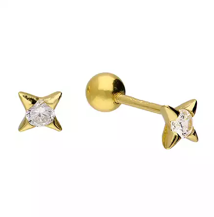 Sterling Silver Earring