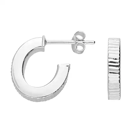 Sterling Silver Earring