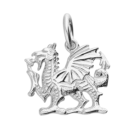 Sterling Silver Charm