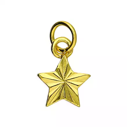 Sterling Silver Pendant