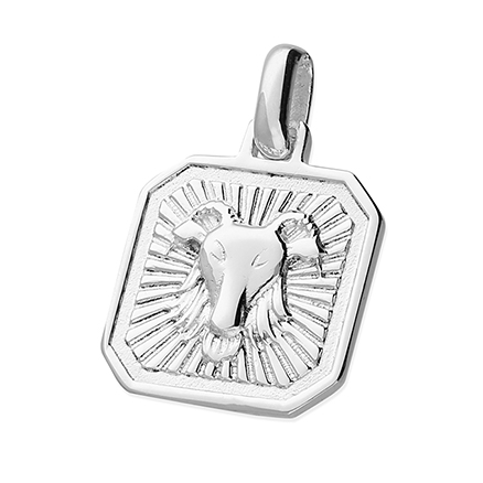 Sterling Silver Pendant