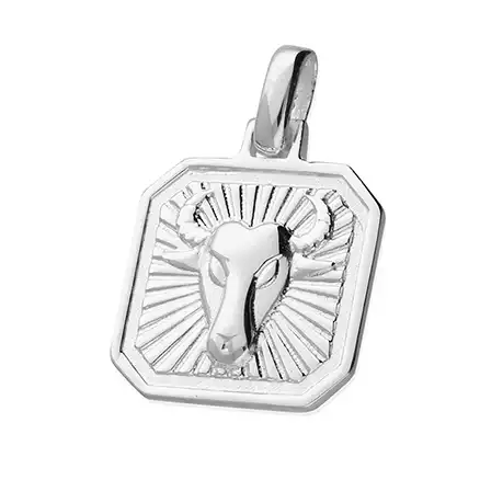 Sterling Silver Pendant