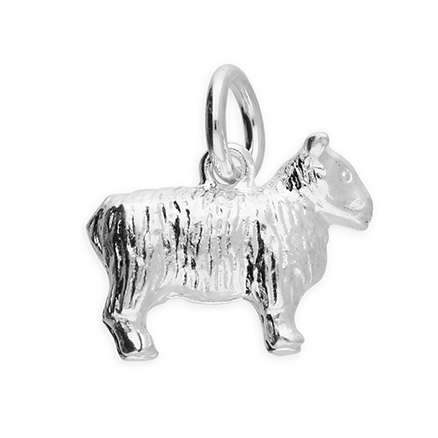 Sterling Silver Charm