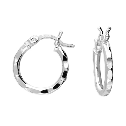 Sterling Silver Earring